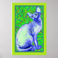 Sphynchkatze