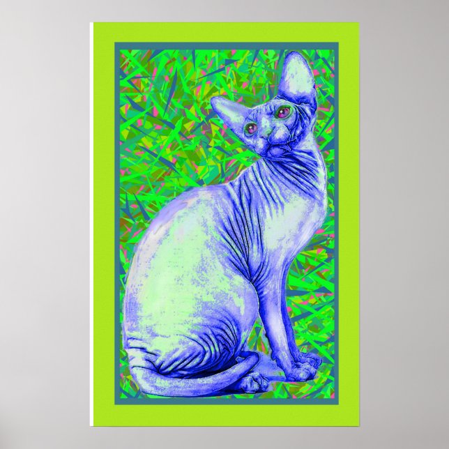 Sphynchkatze Poster (Vorne)