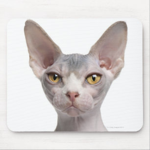 Sphynx (7 Monate alte) Mousepad