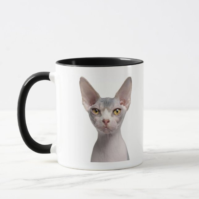 Sphynx (7 Monate alte) Tasse (Links)