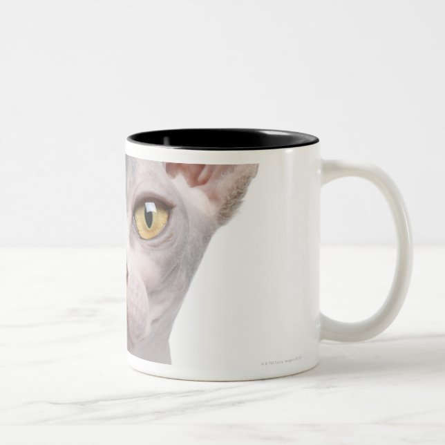 Sphynx (7 Monate alte) Zweifarbige Tasse (Rechts)