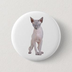 Sphynx Button