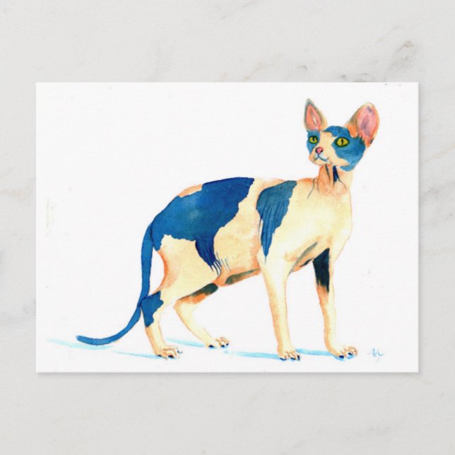 Sphynx Cat 5 Postkarte (Vorderseite)