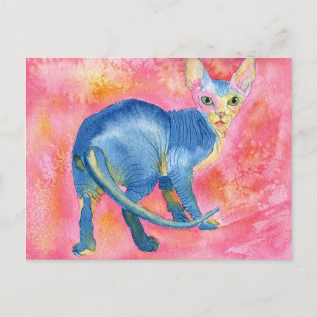 Sphynx Cat 7 Postkarte (Vorderseite)