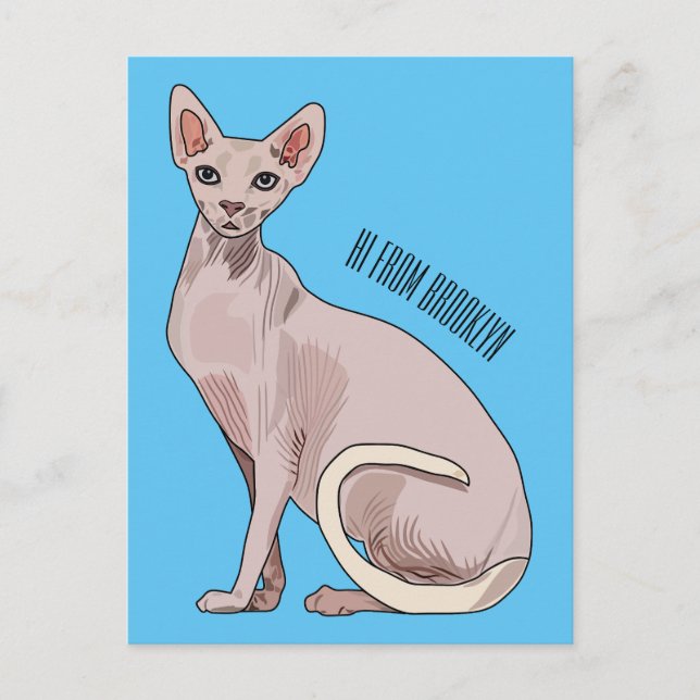 Sphynx cat cartoon illustration postkarte (Vorderseite)