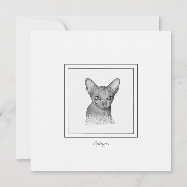 Sphynx Cat Chalk Zeichne Note Card Mitteilungskarte (Vorderseite)
