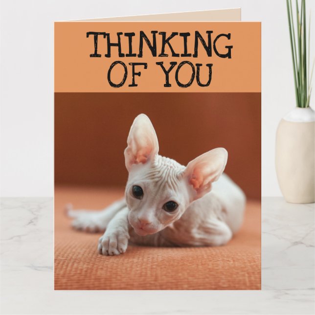 SPHYNX CAT DENKEN SIE GREETING CARD KARTE (Vorderseite)