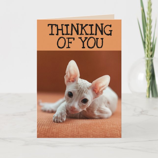 SPHYNX CAT DENKEN SIE GREETING CARDS KARTE (Vorderseite)