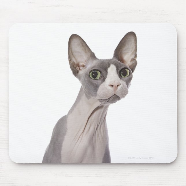 Sphynx Cat mit überraschtem Ausdruck Mousepad (Vorne)