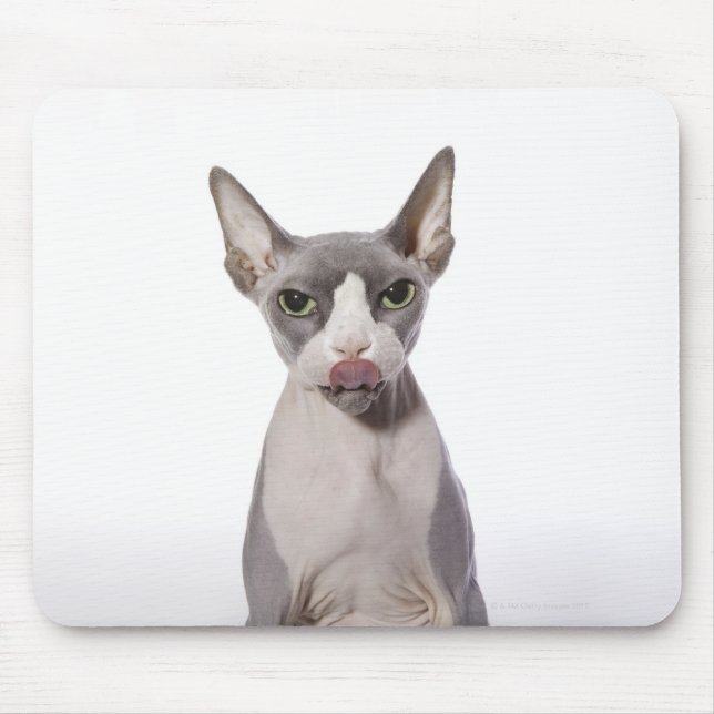 Sphynx Cat mit Zunge Mousepad (Vorne)