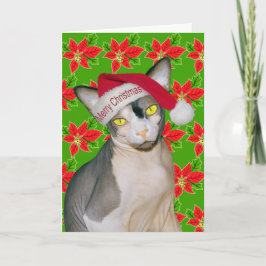 Sphynx Cat Ninja Santa Christmas Holi Green Karte