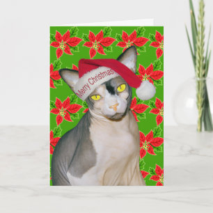 Sphynx Cat Ninja Santa Christmas Holi Green Karte