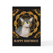 Sphynx Cat Ninja Vintage Style Black Gold Birthday