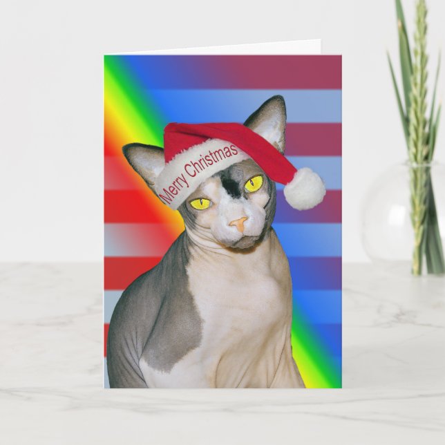Sphynx Cat Ninja Weihnachts Rainbow Karte (Vorderseite)