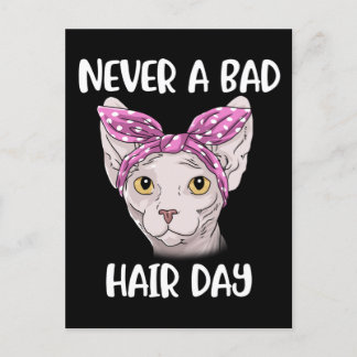 Sphynx Cat Ohrts for Women and Men Sphynx Cat Postkarte