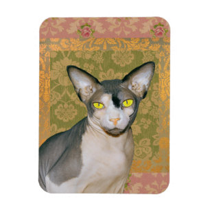 Sphynx Cat Patchwork Floral Damask Design Magnet