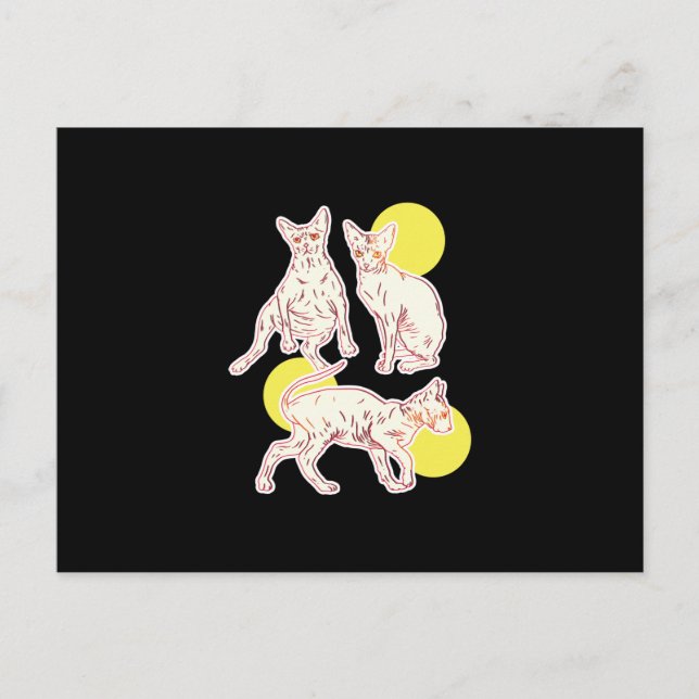 Sphynx Cat Postkarte (Vorderseite)