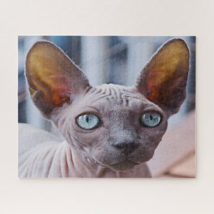 Sphynx Cat. Puzzle