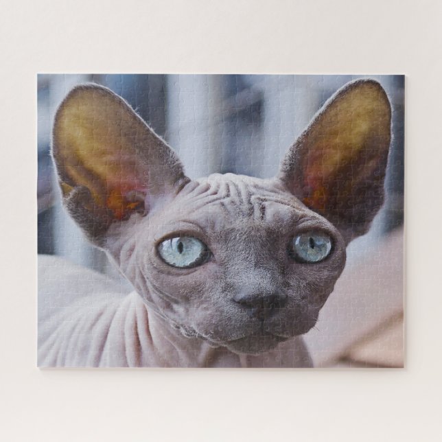 Sphynx Cat. Puzzle (Horizontal)