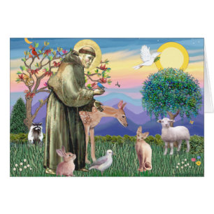 Sphynx Cat - St Francis