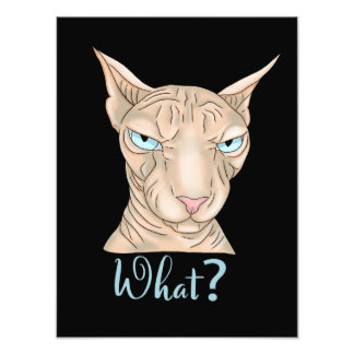 Sphynx Cat. Was ist? Fotodruck