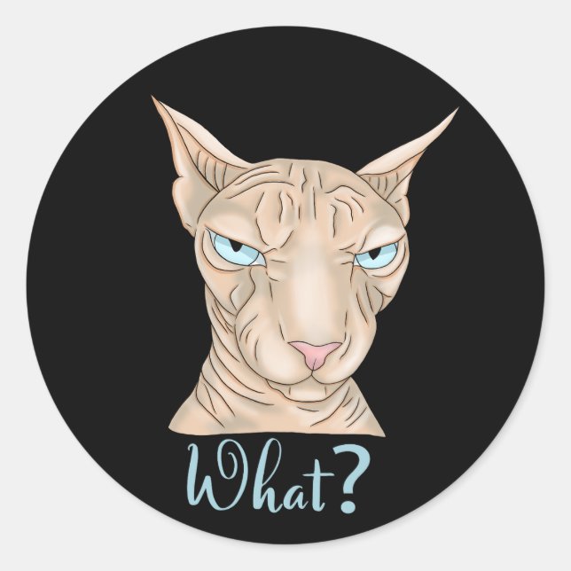 Sphynx Cat. Was ist? Runder Aufkleber (Vorderseite)