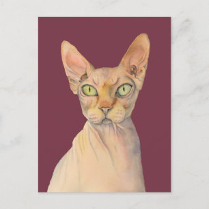 Sphynx Cat Watercolor Portrait Postkarte