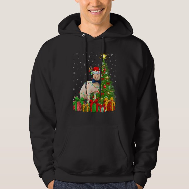 Sphynx Cat   Xmas Lights Santa Sphynx Cat Christma Hoodie (Vorderseite)