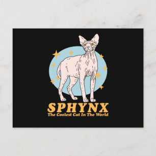 Sphynx Coole Katze   Sphynx Cats Postkarte