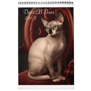Sphynx Kalender 2012