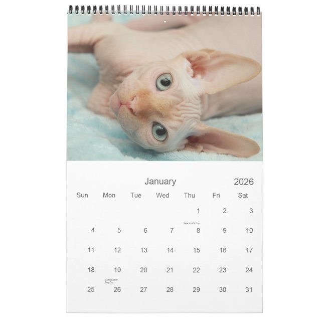 Sphynx Kalender 2012 (Jan 2026)