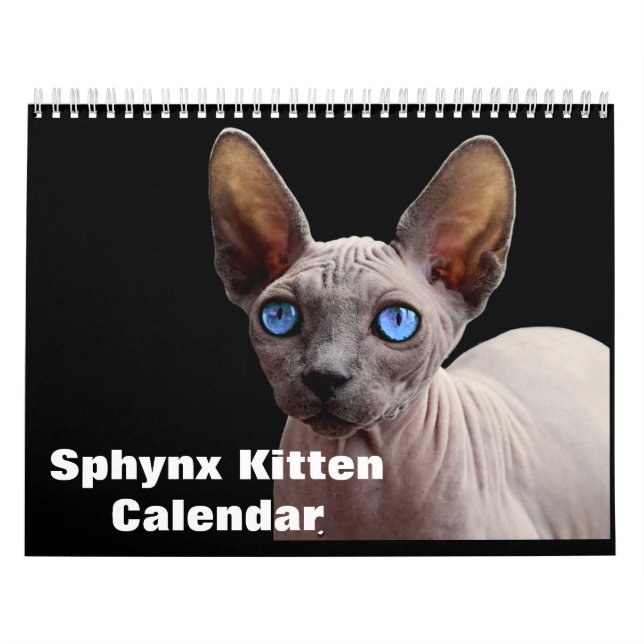 Sphynx-Kätzchen 2027 Kalender (Titelbild)