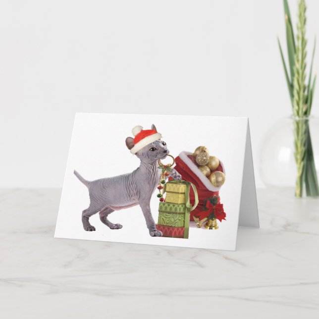Sphynx Kätzchen ChristmasCards Feiertagskarte (Vorderseite)