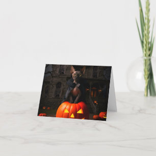 Sphynx-Kätzchen Dracula Halloween-Karte Dankeskarte