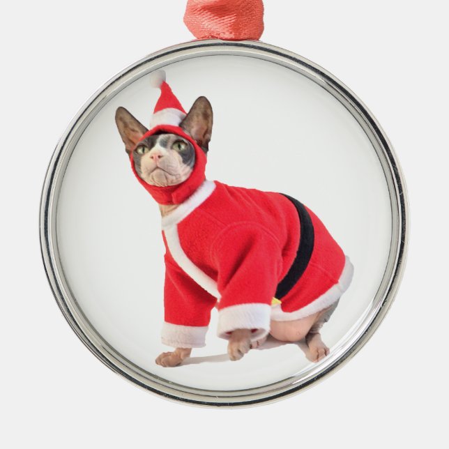 Sphynx Katze in der Ornament Aus Metall (Vorne)