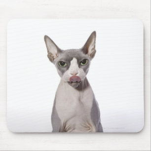 Sphynx Katze mit der Zunge heraus Mousepad