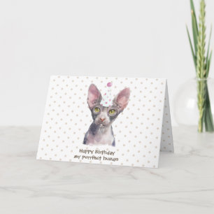 Sphynx-Katze mit Partyhut Karte