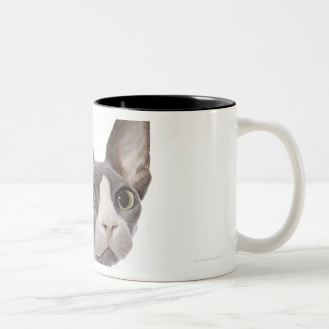 Sphynx Katze mit überraschtem Ausdruck Zweifarbige Tasse (Rechts)