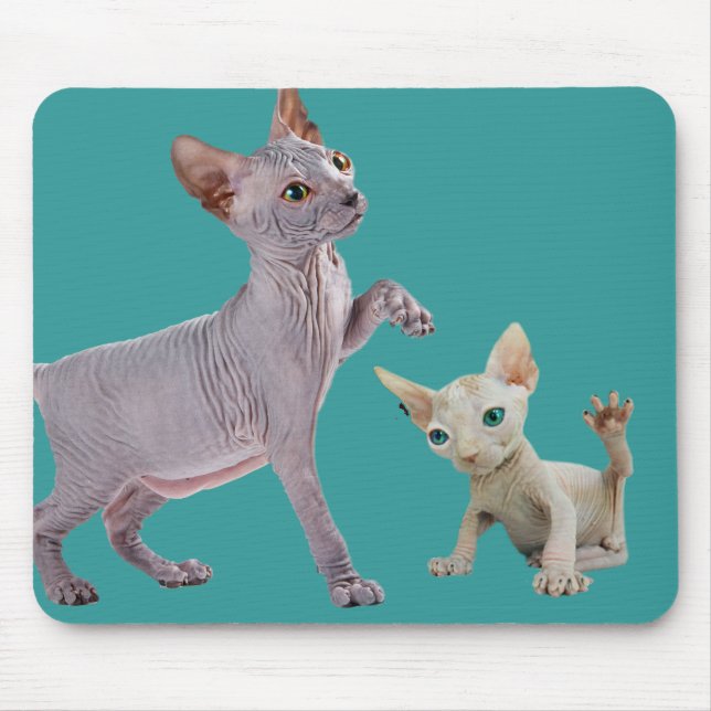 Sphynx Katze Mousepads (Vorne)