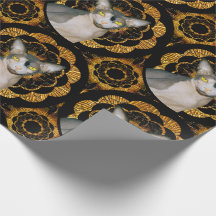Sphynx-Katze Ninja Schwarz und Gold Retro-Stil