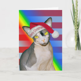 Sphynx-Katze Ninja Weihnachtsmann Weihnachten Rege Karte