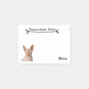 Sphynx Katze Post-it Klebezettel