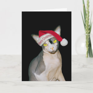 Sphynx-Katze Santa Black Weihnachten Karte