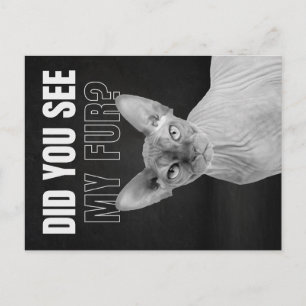 Sphynx-Katze Sarkastische Fell Humor Illustration Feiertagspostkarte