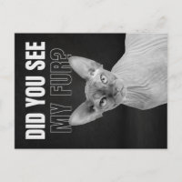 Sphynx-Katze Sarkastische Fell Humor Illustration