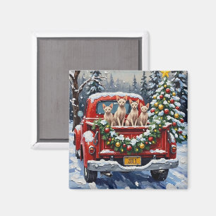 Sphynx-Katze Weihnachten Roter LKW Feiertag Magnet