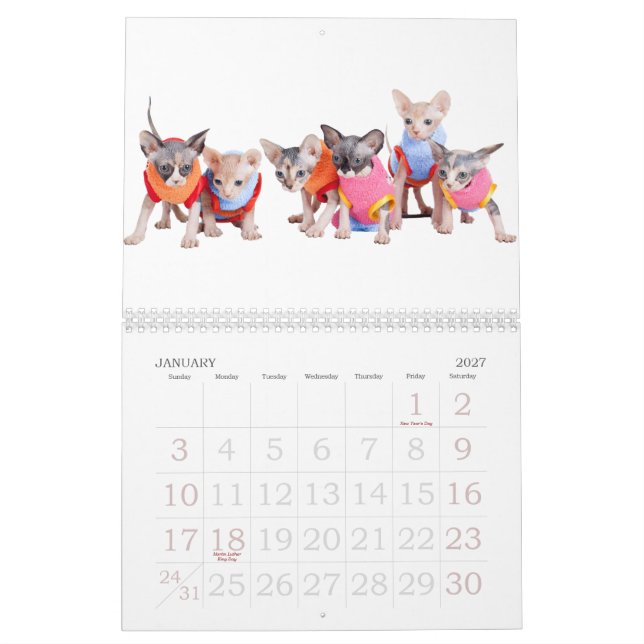 Sphynx Katzen-Wandkalender | GoSphynx.com Kalender (Jan 2027)