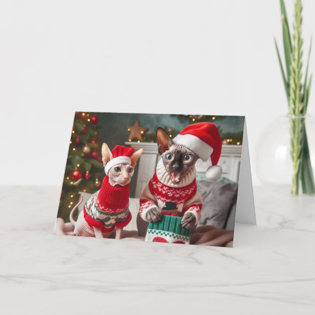Sphynx Kittens Weihnachtskarte Dankeskarte (Vorderseite)