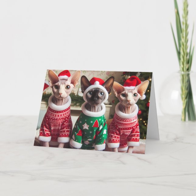 Sphynx Kittens Weihnachtskarte Dankeskarte (Vorderseite)
