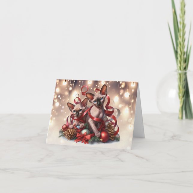Sphynx Kittens Weihnachtskarte Karte (Vorderseite)